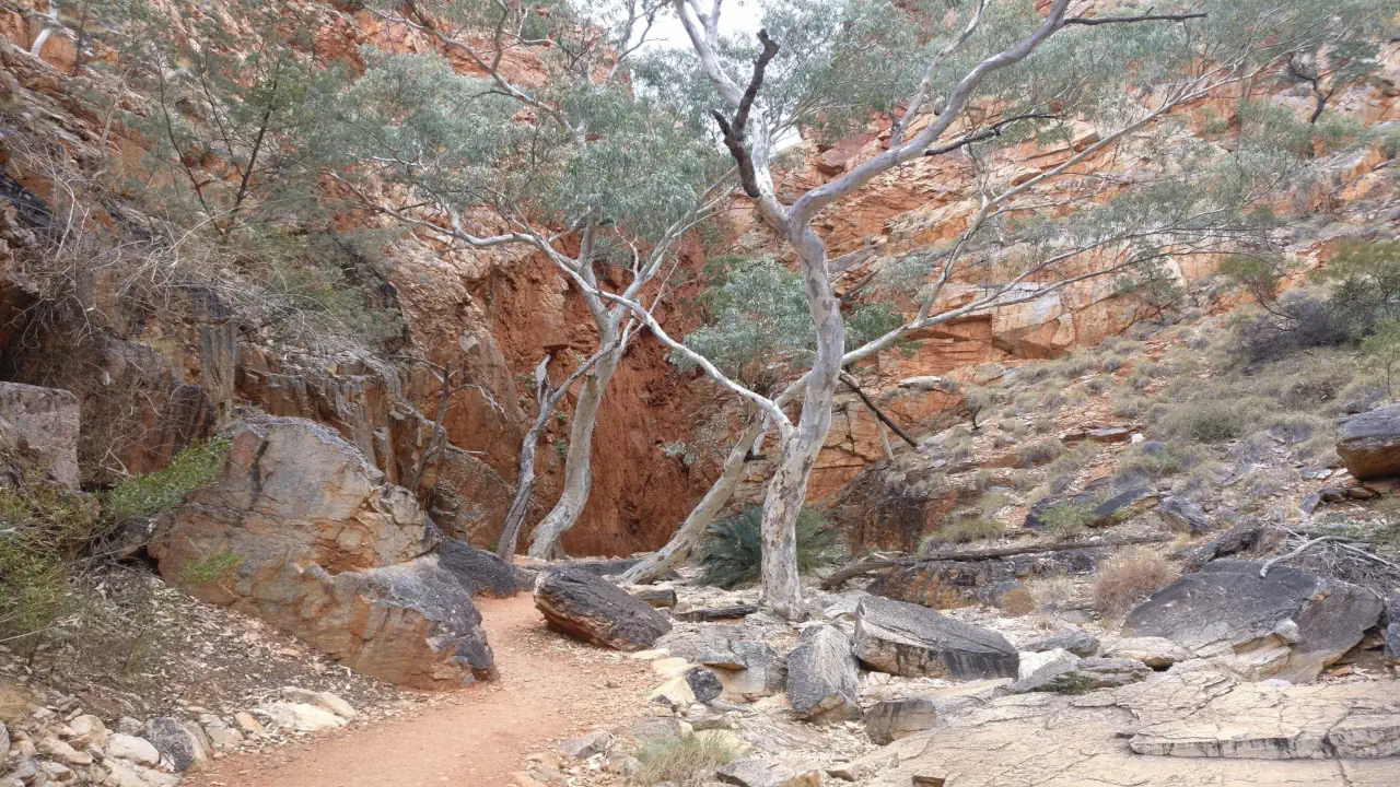 View towards Standley Chasm from the walking trail leading in.